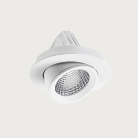 Apex Adjustable Downlight